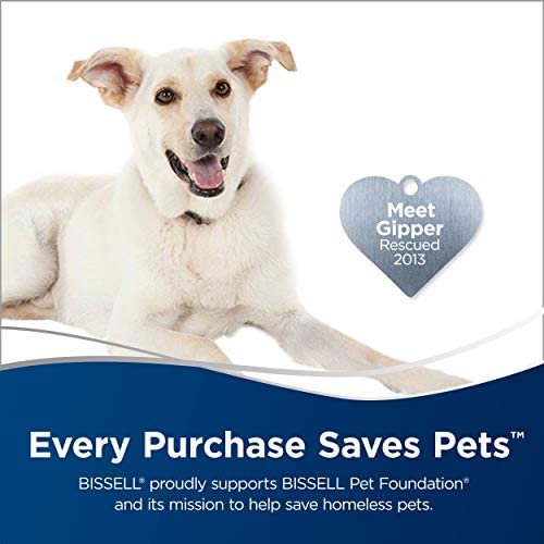 BISSELL Zing Lightweight, Bagless Canister Vacuum, 2156A - Image 3